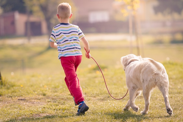 pet