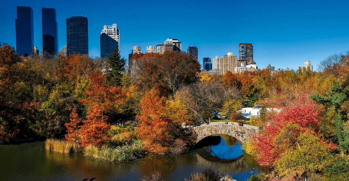 Central Park in Autumn