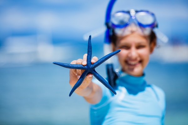 Travel Insurance